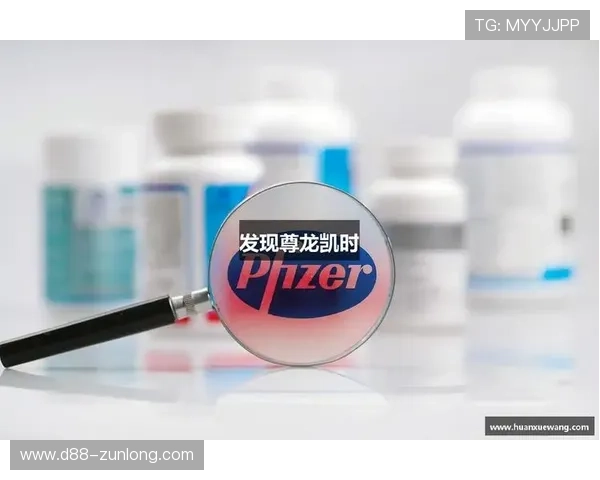 凯时尊龙:尊龙系列游戏的安全保障与玩家权益全面解析 凯时尊龙:尊龙系列游戏的安全保障与玩家权益全面解析