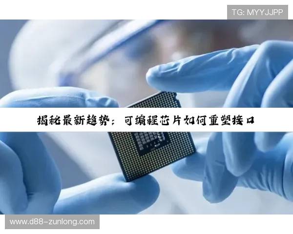 尊龙凯时手机官方地址官方入口指南,轻松找到安全可靠的登录渠道