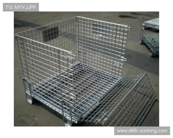 尊龙凯时数字站聚焦热门游戏推荐与最新活动信息,帮助玩家把握每一次精彩的游戏机会 尊龙凯时数字站聚焦热门游戏推荐与最新活动信息,帮助玩家把握每一次精彩的游戏机会